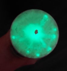 Andělská svíčka ZDRAVÁ MYSL I TĚLO - ve tmě vršek svítí sám💥 Citronová tráva